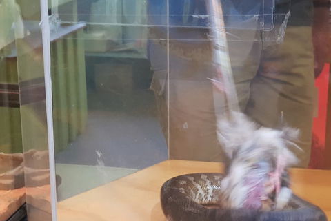 Healesville Sanctuary And Rayners Orchard Tour From Melbourne - Hotel Accommodation 4