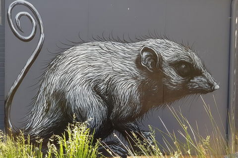 Healesville Sanctuary And Rayners Orchard Tour From Melbourne - Hotel Accommodation 5