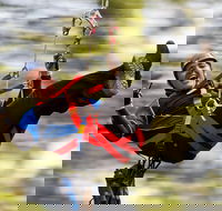 12 Apostles and Otway Fly Zipline Day Trip from Melbourne - Hotel Accommodation