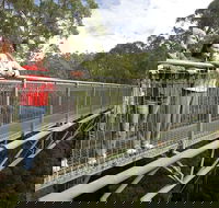 Adventure Sunset Three Day Great Ocean Road Tour - Hotel Accommodation