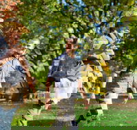 Aboriginal Heritage Walk - Royal Botanic Gardens Victoria Melbourne Gardens - Hotel Accommodation