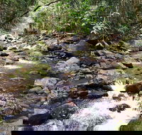 Springbrook Full Day Tour - Hotel Accommodation