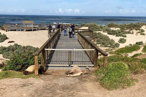 Kangaroo Island 4WD Tour - Best Of KI - Hotel Accommodation 2