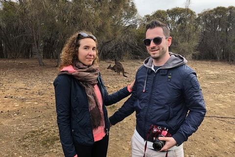 Kangaroo Island 4WD Tour - Best Of KI - Hotel Accommodation 3