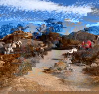 The Big Wave Rock Private Day Tour - Hotel Accommodation