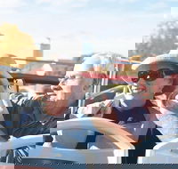 Kunanyi/Mt Wellington Tour  Hobart Hop-On Hop-Off Bus - Hotel Accommodation