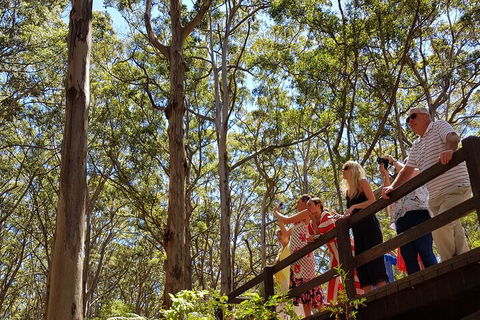 The All About Margaret River Tour: Wine, Coffee, Lunch And Forest - Hotel Accommodation 3