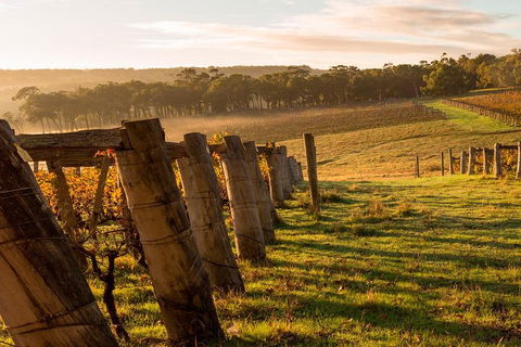 The All About Margaret River Tour: Wine, Coffee, Lunch And Forest - Hotel Accommodation 5