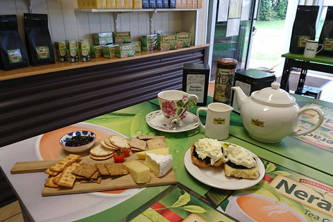 Atherton Tablelands Small-Group Food & Wine Tasting Tour From Port Douglas - Hotel Accommodation 5