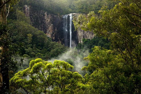 Hinterland Magic & Glow-worm Experience - Hotel Accommodation 4