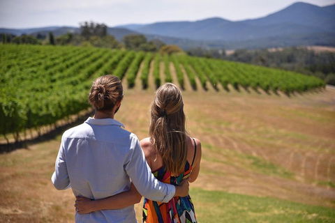 Yarra Valley Wine, Bubbles And Gin Tour! - Hotel Accommodation 4