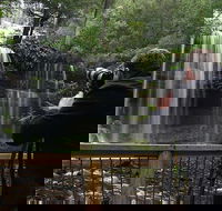 Mt Field and Styx Valley Photography Tour - Hotel Accommodation