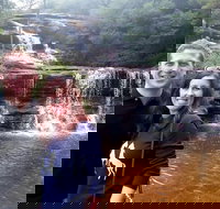 Private Blue Mountains Day Tour including Wildlife Park - Hotel Accommodation