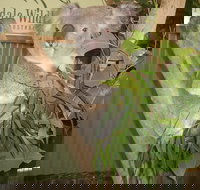 Private All Blue Mountains Day Tour - Hotel Accommodation