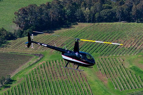 Hunter Valley Wine Country Helicopter Flight From Cessnock - Hotel Accommodation 3