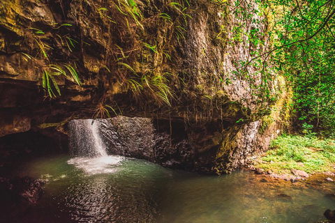 Full-day Springbrook National Park Tour From The Gold Coast - Hotel Accommodation 4