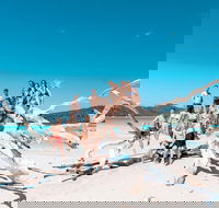 4 Day  3 Night Whitsunday Islands  Outer Reef Sailing Adventure on Condor - Hotel Accommodation