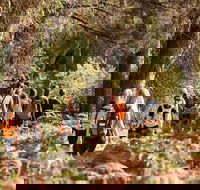 Half-Day Yanchep Ghost House Wilderness Guided Hike Tour - Hotel Accommodation