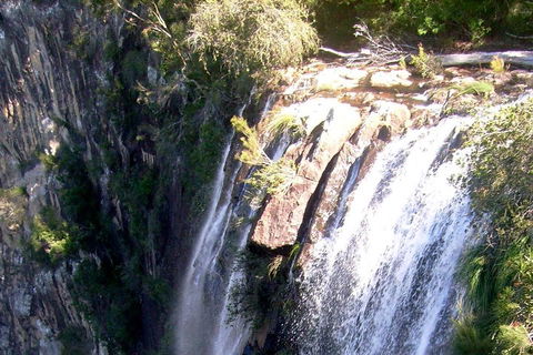Byron Bay Combo: Hinterland Tour Including Minyon Falls And Kayaking With Dolphins - Hotel Accommodation 3