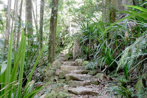 Byron Bay Combo: Hinterland Tour Including Minyon Falls And Kayaking With Dolphins - Hotel Accommodation 5