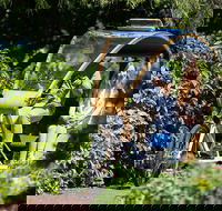 Adelaide 90-Minute Pedicab Tour Scenic Green  River Experience - Hotel Accommodation