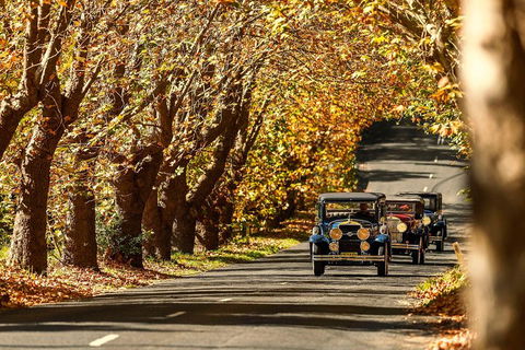 Blue Mountains Vintage Cadillac Tour With Local Guide - Hotel Accommodation 1