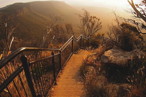 Blue Mountains Vintage Cadillac Tour With Local Guide - Hotel Accommodation 3