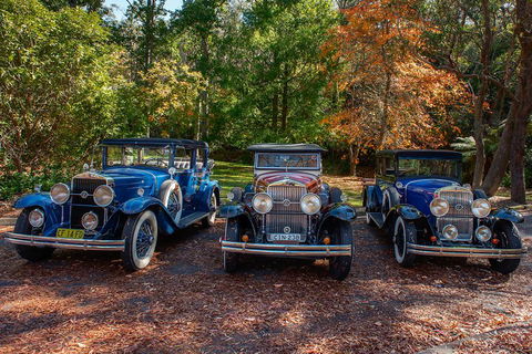 Blue Mountains Vintage Cadillac Tour With Local Guide - Hotel Accommodation 4