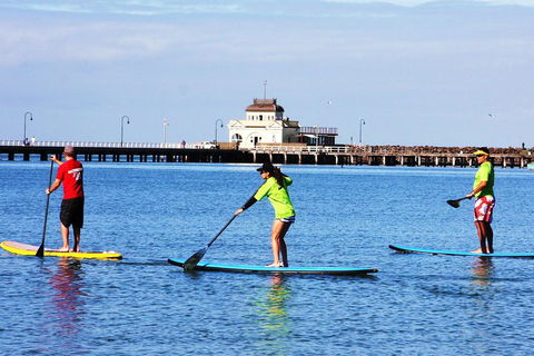 Private Stand-Up Paddle Board Lesson At St Kilda - Hotel Accommodation 1