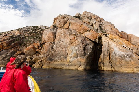 Wilsons Promontory Wilderness Cruise From Tidal River - Hotel Accommodation 3
