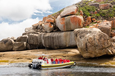 Wilsons Promontory Wilderness Cruise From Tidal River - Hotel Accommodation 4