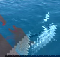 Noosa Thriller - 500hp Ocean Adventure Ride - Hotel Accommodation