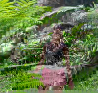 Full-Day Guided Hinterland Adventure Tour in Queensland - Hotel Accommodation