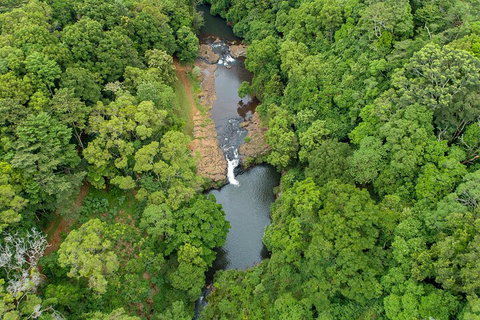 Full-Day Guided Hinterland Adventure Tour In Queensland - Hotel Accommodation 4