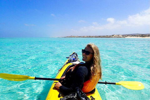 Lagoon Explorer - Ningaloo Reef Full-Day Kayaking And Snorkeling Adventure - Hotel Accommodation 1