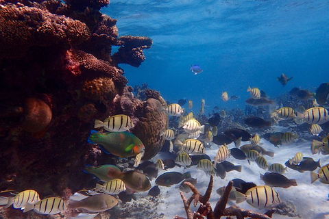 Lagoon Explorer - Ningaloo Reef Full-Day Kayaking And Snorkeling Adventure - Hotel Accommodation 2