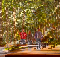 Darwin City Sights and Jumping Crocodile Cruise - Hotel Accommodation