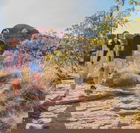 Kings Canyon Day Trip from Ayers Rock Uluru - Hotel Accommodation