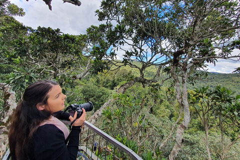 Lamington National Park, O'Reilly's & Vineyard Tour - Hotel Accommodation 1