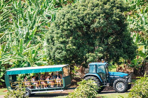 Northern Rivers Full Day Wine Tour - Hotel Accommodation 1