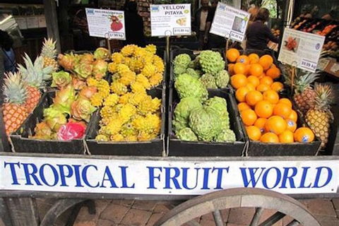 Northern Rivers Full Day Wine Tour - Hotel Accommodation 3