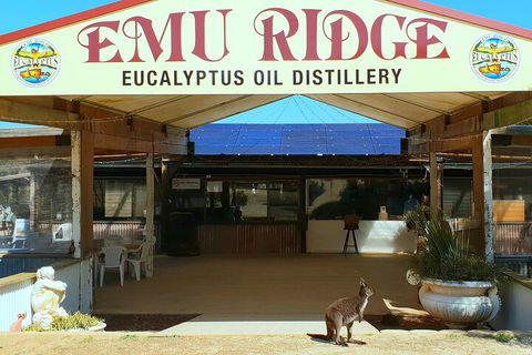 2-Day Kangaroo Island Safari From Adelaide - Hotel Accommodation 4