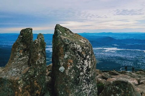 Mt Wellington Tour And MONA Admission - Hotel Accommodation 2