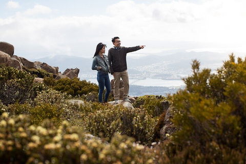 Mt Wellington Tour And MONA Admission - Hotel Accommodation 5
