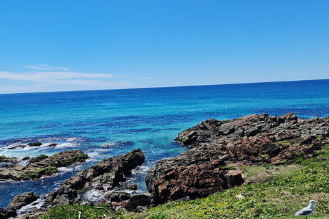 Private Custom Byron Bay Day Out - Hotel Accommodation 4