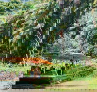 Tropical Fruit World Farm Full Tour - Hotel Accommodation