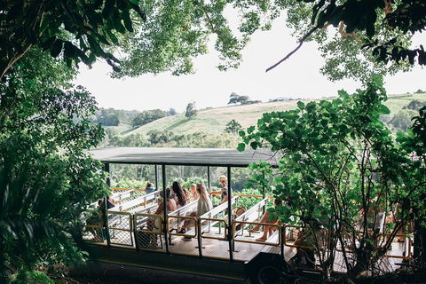 Tropical Fruit World Farm Full Tour - Hotel Accommodation 4