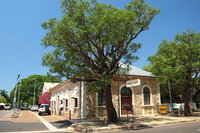 Delightful Darwin Self-Guided Audio Tour
