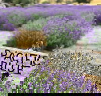 Kangaroo Island Food and Wine Trail Tour - Hotel Accommodation