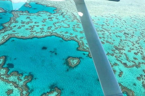 Whitsunday Islands 1-Hour Reef Scenic Helicopter Tour - Hotel Accommodation 3